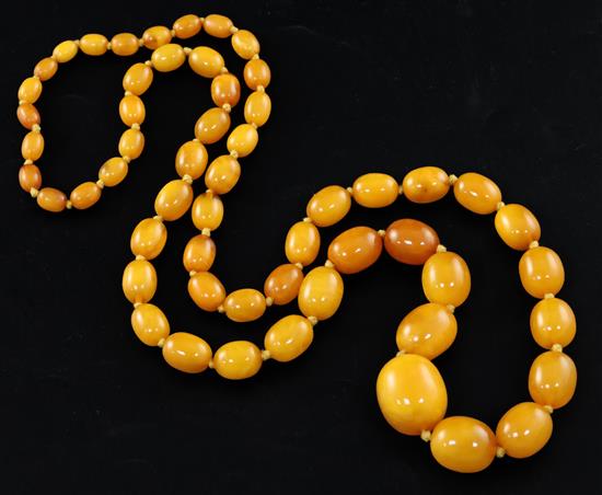 A single strand graduated oval amber bead necklace, 97cm.